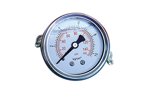A company in hefei bought a batch of pressure gauges