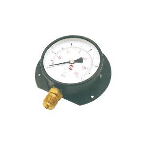 Back flange type pressure gauges